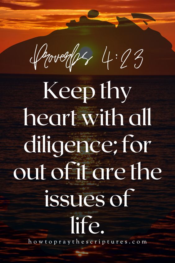 [Proverbs 4:23]Keep thy heart with all diligence; for out of it are the issues of life.