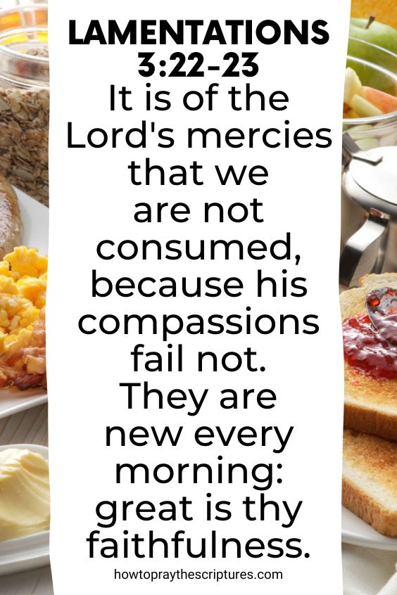 [Lamentations 3:22-23]It is of the Lord's mercies that we are not consumed, because his compassions fail not. They are new every morning: great is thy faithfulness.