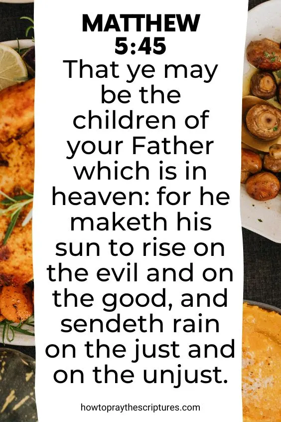 [Matthew 5:45]That ye may be the children of your Father which is in heaven: for he maketh his sun to rise on the evil and on the good, and sendeth rain on the just and on the unjust.