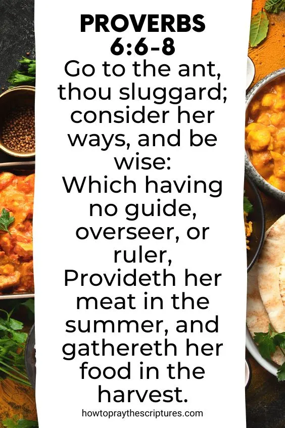 [Proverbs 6:6-8]Go to the ant, thou sluggard; consider her ways, and be wise: Which having no guide, overseer, or ruler, Provideth her meat in the summer, and gathereth her food in the harvest.