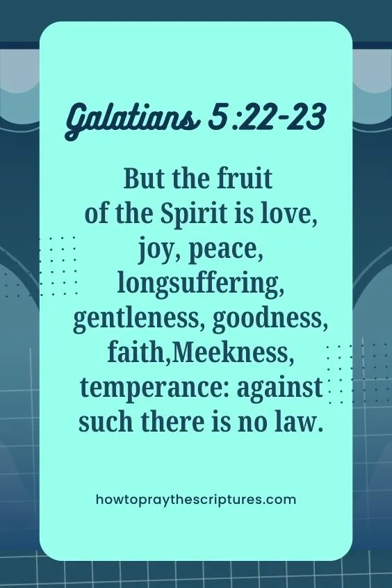 [Galatians 5:22-23]But the fruit of the Spirit is love, joy, peace, longsuffering, gentleness, goodness, faith, Meekness, temperance: against such there is no law. 