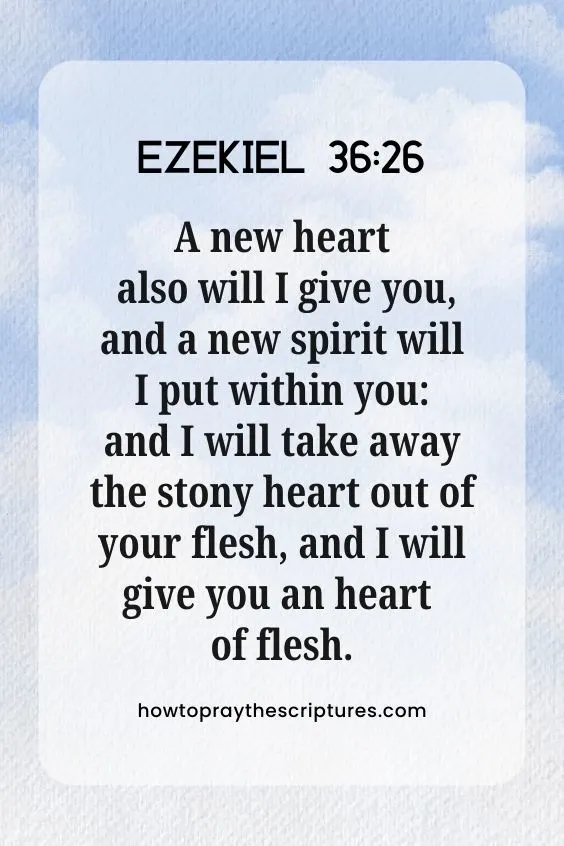 [Ezekiel 36:26]A new heart also will I give you, and a new spirit will I put within you: and I will take away the stony heart out of your flesh, and I will give you an heart of flesh.