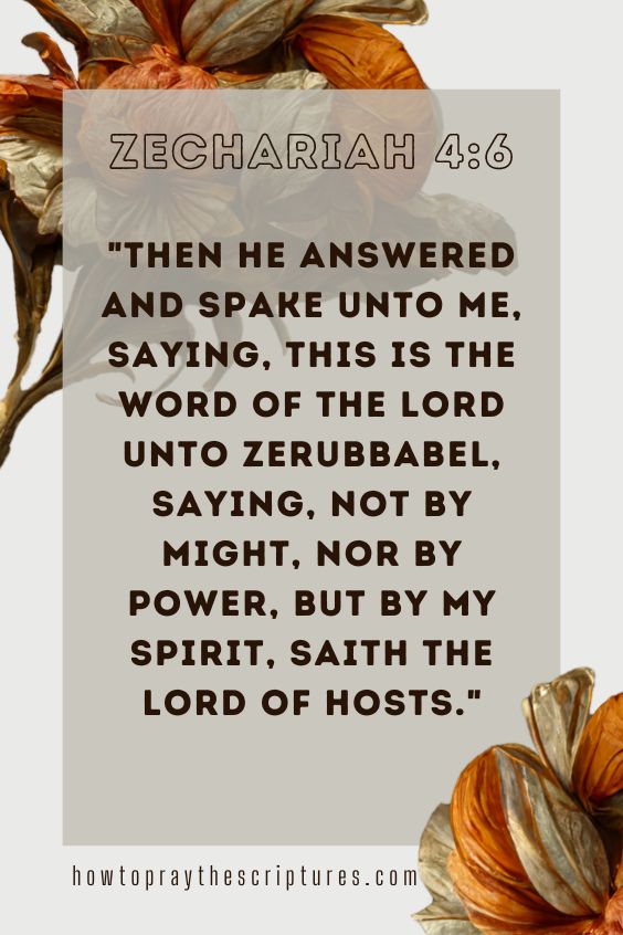 [Zechariah 4:6]Then he answered and spake unto me, saying, This is the word of the Lord unto Zerubbabel, saying, Not by might, nor by power, but by my spirit, saith the Lord of hosts. 