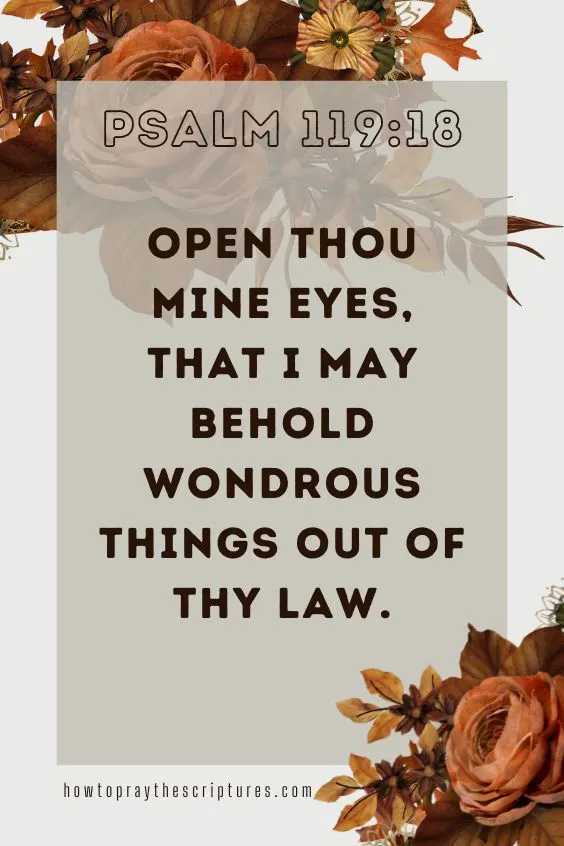 [Psalm 119:18]Open thou mine eyes, that I may behold wondrous things out of thy law. 