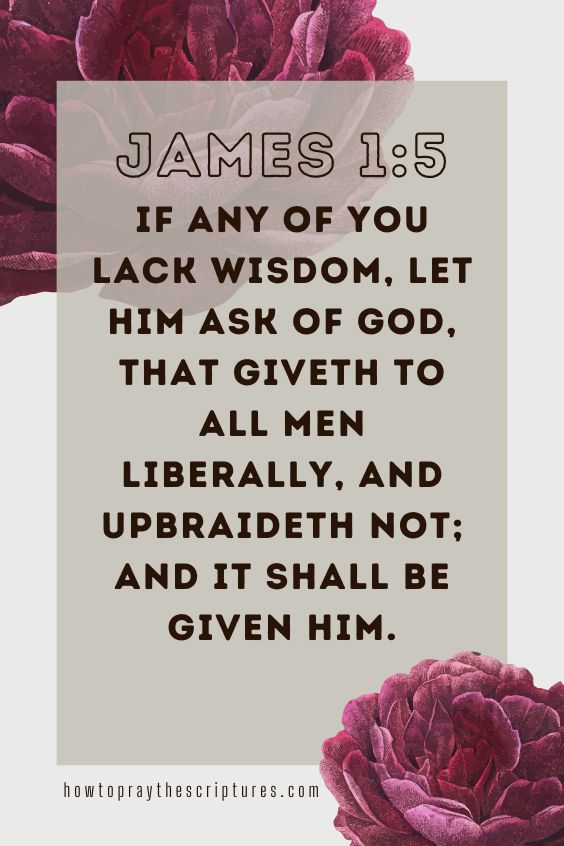 [James 1:5]If any of you lack wisdom, let him ask of God, that giveth to all men liberally, and upbraideth not; and it shall be given him. 