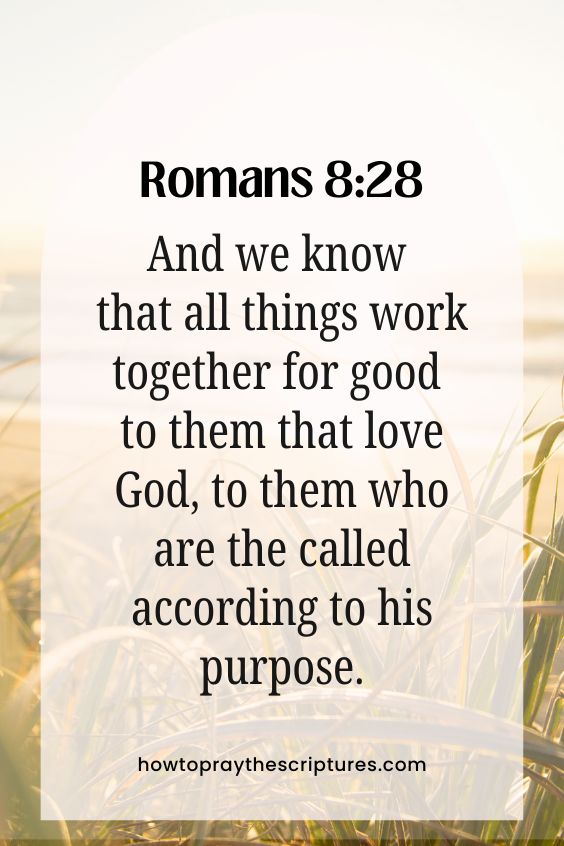 And we know that all things work together for good to them that love God, to them who are the called according to his purpose.