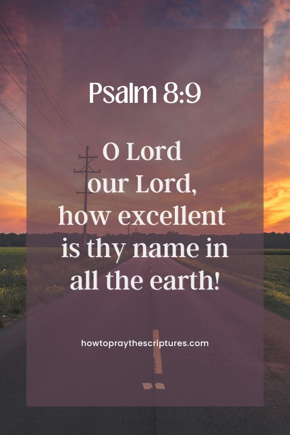 [Psalm 8:9]O Lord our Lord, how excellent is thy name in all the earth! 