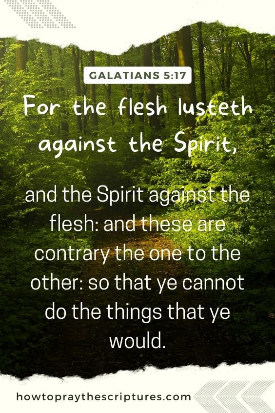 Galatians 5:17For the flesh lusteth against the Spirit, and the Spirit against the flesh: and these are contrary the one to the other: so that ye cannot do the things that ye would.
