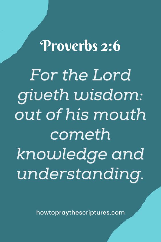 [Proverbs 2:6]For the Lord giveth wisdom: out of his mouth cometh knowledge and understanding. 