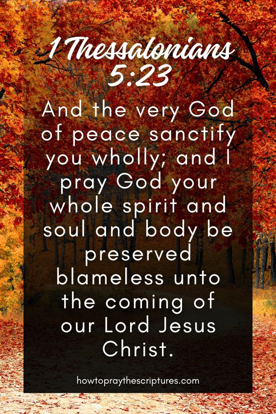 1 Thessalonians 5:23And the very God of peace sanctify you wholly; and I pray God your whole spirit and soul and body be preserved blameless unto the coming of our Lord Jesus Christ. 