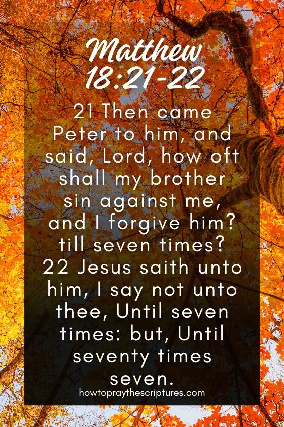 Matthew 18:21-2221 Then came Peter to him, and said, Lord, how oft shall my brother sin against me, and I forgive him? till seven times? 22 Jesus <a href=