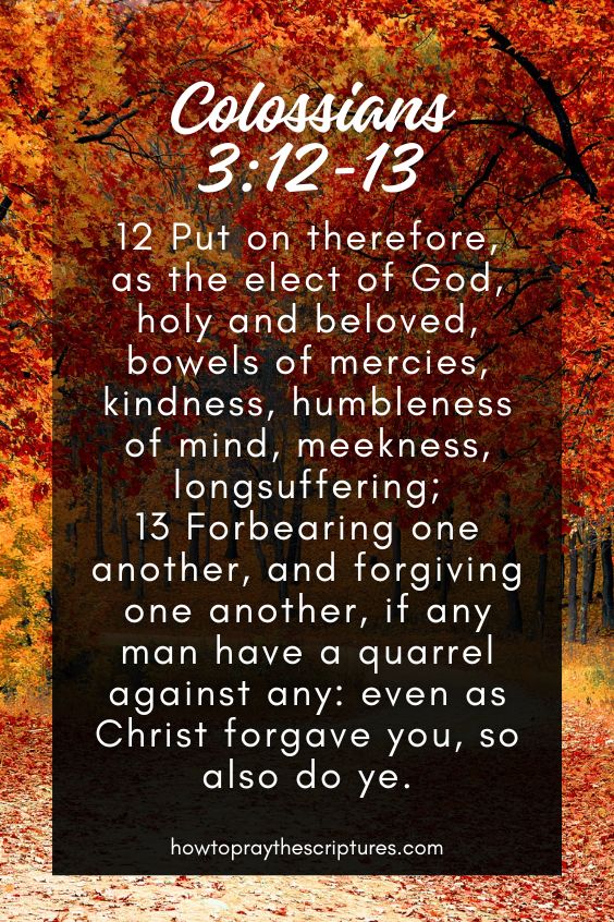 Colossians 3:12-1312 Put on therefore, as the elect of God, holy and beloved, bowels of mercies, kindness, humbleness of mind, meekness, longsuffering; 13 Forbearing one another, and forgiving one another, if any man have a quarrel against any: even as Christ forgave you, so also do ye. 