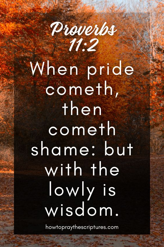 Proverbs 11:2When pride cometh, then cometh shame: but with the lowly is wisdom. 