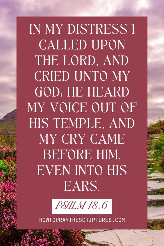 Heavenly Father, You are the God Who listens to all my cries.