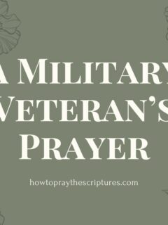 Father in heaven, I thank You because, in Your presence, military veterans do not have to be strong the way they were expected to be in the military.