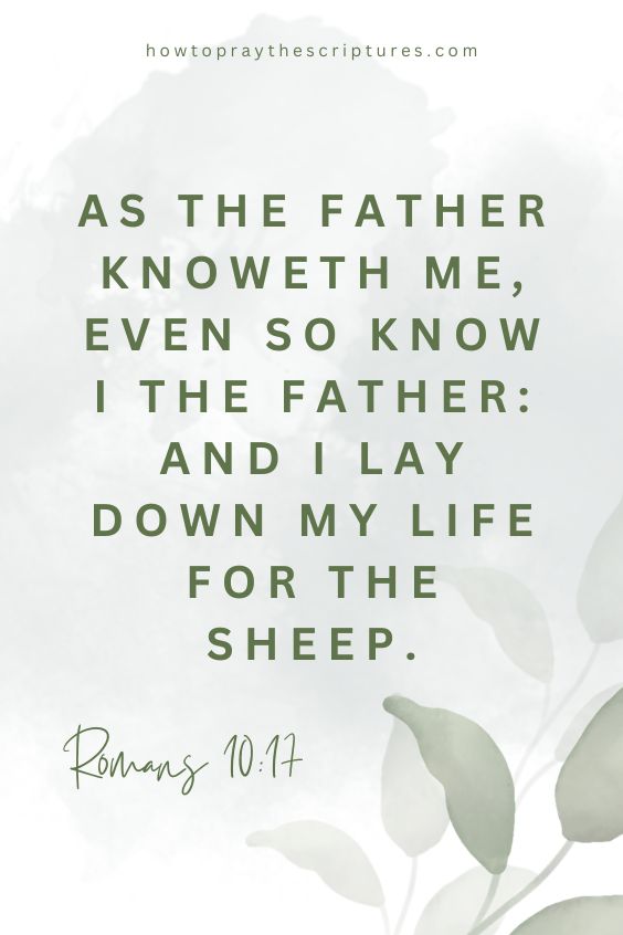 As the Father knoweth me, even so know I the Father: and I lay down my life for the sheep.