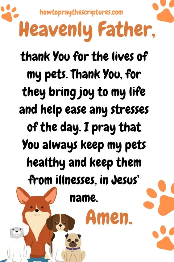 Heavenly Father, thank You for the lives of my pets.