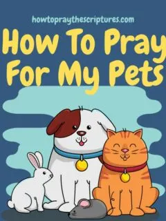 Heavenly Father, thank You for the lives of my pets.