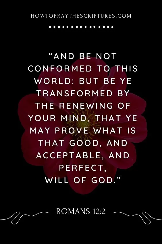 In Jesus' name, I am accepted by God and belong to His home in Christ Jesus.