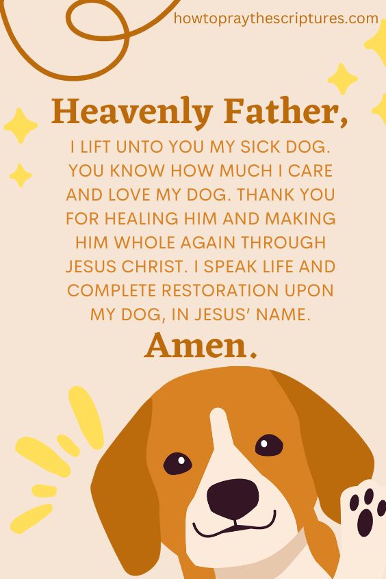 Heavenly Father, I lift unto You my sick dog. You know how much I care and love my dog.
