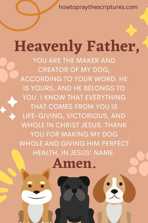 Heavenly Father, I lift unto You my sick dog. You know how much I care and love my dog.