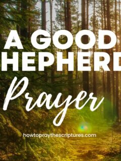 A Good Shepherd Prayer