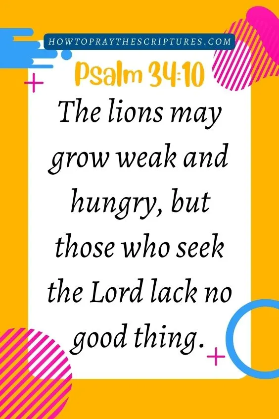 The lions may grow weak and hungry, but those who seek the Lord lack no good thing. Psalm 34:10