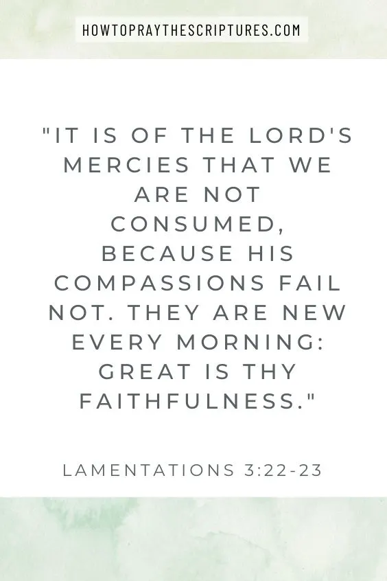 It is of the LORD's mercies that we are not consumed, because his compassions fail not. They are new every morning: great is <a href=