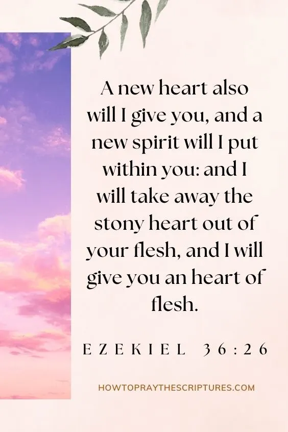 A new heart also will I give you, and a new spirit will I put within you: and I will take away the stony heart out of your flesh, and I will give you an heart of flesh. Ezekiel 36:26