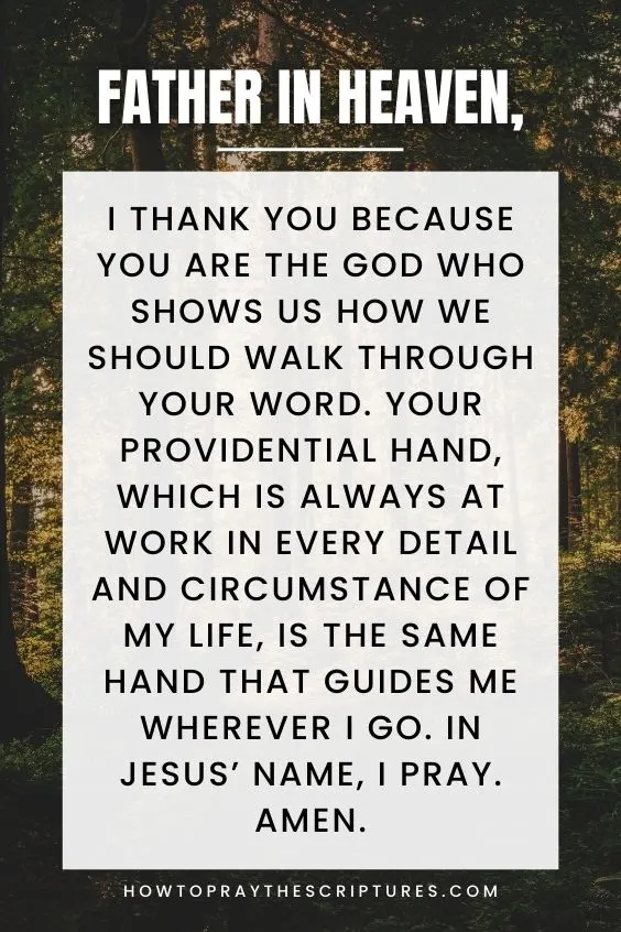 Father in heaven, I thank You because You are the God Who shows us how we should walk through Your Word. Your providential hand, which is always at work in every detail and circumstance of my life, is the same hand that guides me wherever I go. In Jesus’ name, I pray. Amen.