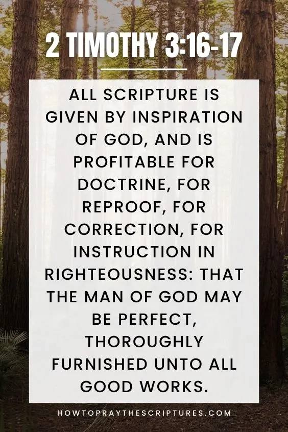 All scripture is given by inspiration of God, and is profitable for doctrine, for reproof, for correction, for instruction in righteousness: That the man of God may be perfect, thoroughly furnished unto all good works. 2 Timothy 3:16-17