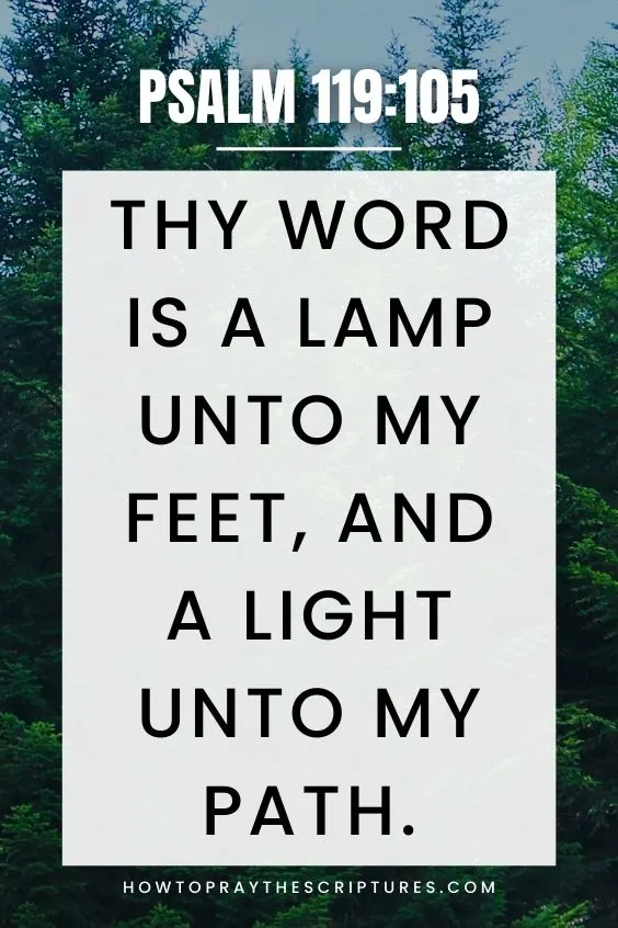 Thy word is a lamp unto my feet, and a light unto my path. Psalm 119:105