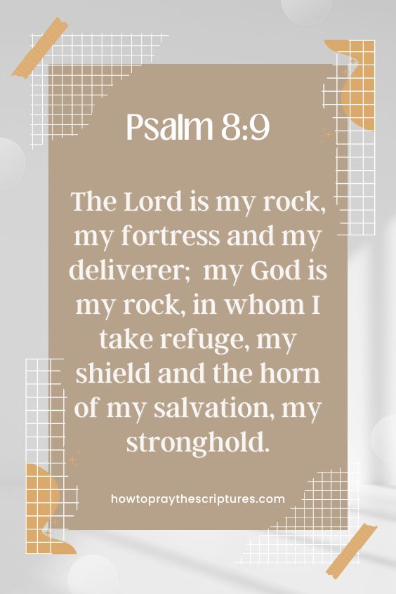  Psalm 18:2 - The Lord is my rock, my fortress and my deliverer; my God is my rock, in whom I take refuge, my shield and the horn] of my salvation, my stronghold. 