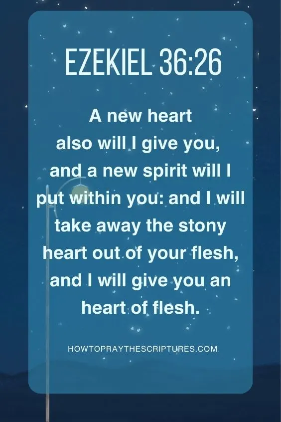  A new heart also will I give you, and a new spirit will I put within you: and I will take away the stony heart out of your flesh, and I will give you an heart of flesh. Ezekiel 36:26