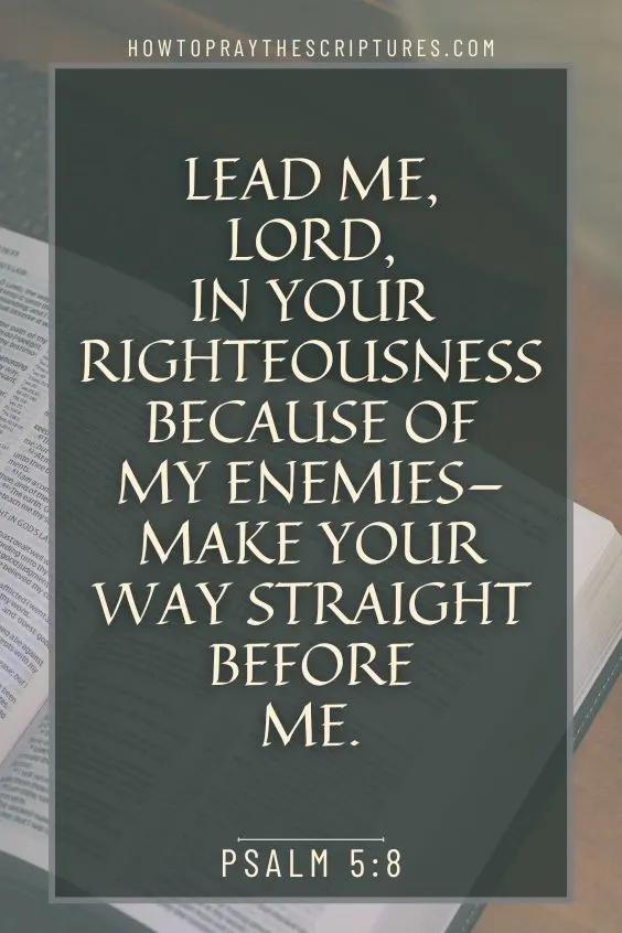 Lead me, Lord, in your righteousness because of my enemies&mdash; make your way straight before me. Psalm 5:8