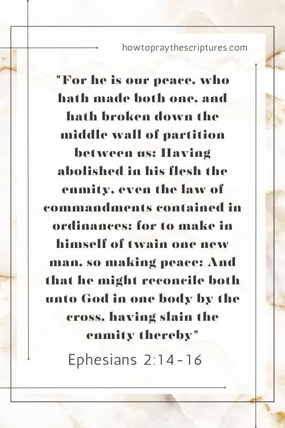 For he is our peace, who hath made both one, and hath broken down the middle wall of partition between us; Having abolished in his flesh the enmity, even the law of commandments contained in ordinances; for to make in himself of twain one new man, so making peace; And that he might reconcile both unto God in one body by the cross, having slain the enmity thereby: Ephesians 2:14-16