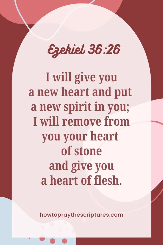 I will give you a new heart and put a new spirit in you; I will remove from you your heart of stone and give you a heart of flesh. Ezekiel 36:26