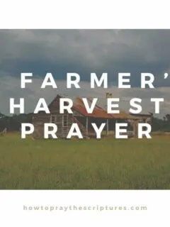 A Farmers Harvest Prayer
