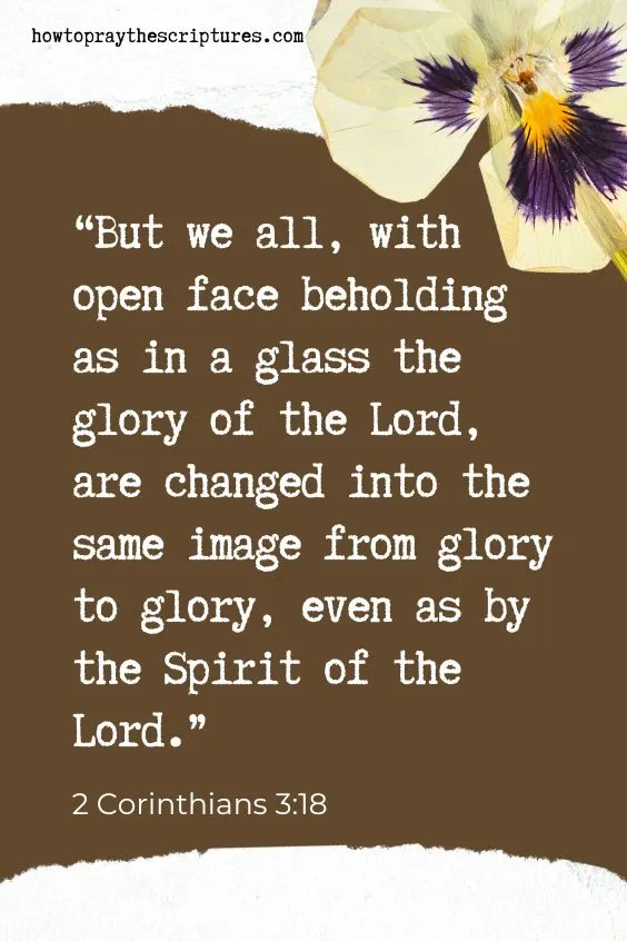 But we all, with open face beholding as in a glass the glory of the Lord, are changed into the same image from glory to glory, even as by the Spirit of the Lord. 2 Corinthians 3:18