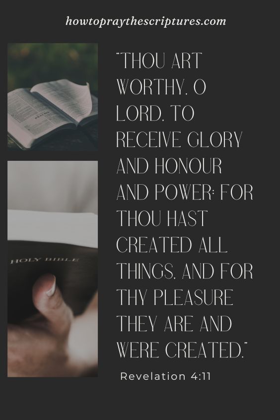 Thou art worthy, O Lord, to receive glory and honour and power: for thou hast created all things, and for thy pleasure they are and were created. Revelation 4:11