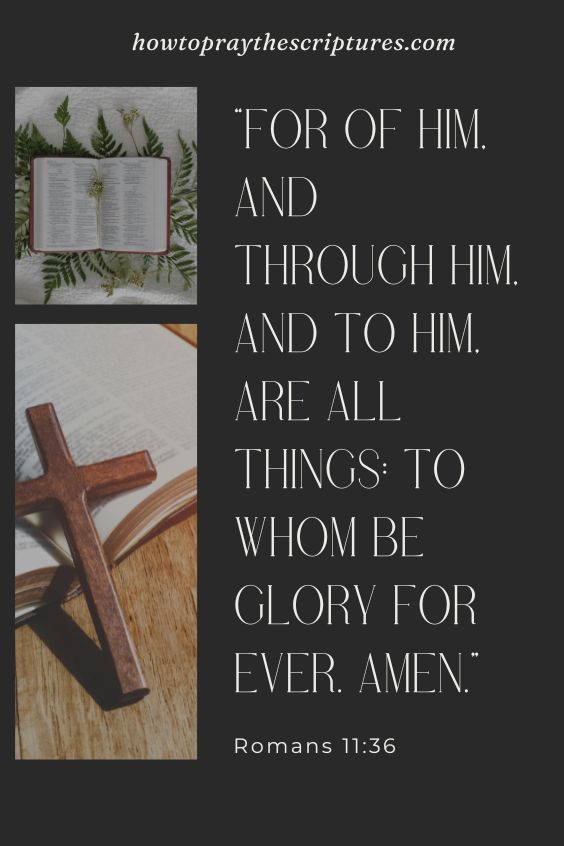 For of him, and through him, and to him, are all things: to whom be glory for ever. Amen. Romans 11:36
