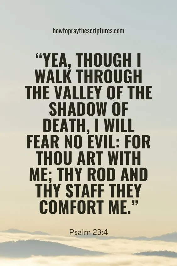 Psalm 23:4 Yea, though I walk through the valley of the shadow of death, I will fear no evil: for thou art with me; thy rod and thy staff they comfort me.