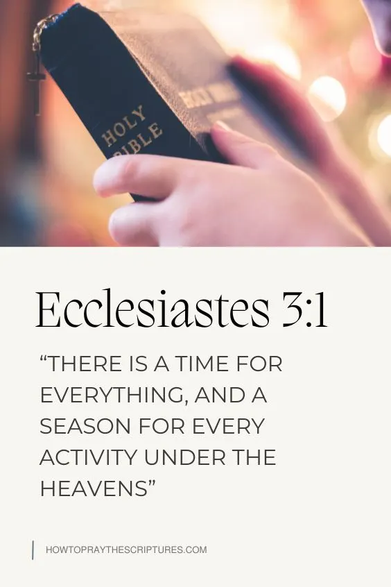Ecclesiastes 3:1 There is a time for everything, and a season for every activity under the heavens:(NIV)