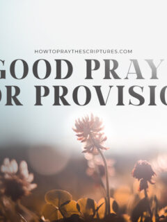 A Good Prayer for Provision