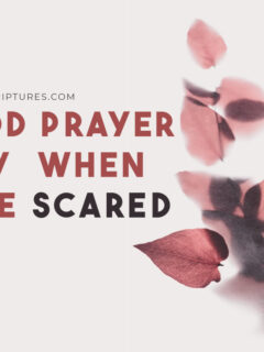 A Good Prayer to Say When You’re Scared