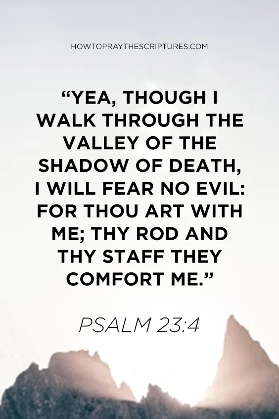 Psalm 23:4 Yea, though I walk through the valley of the shadow of death, I will fear no evil: for thou art with me; thy rod and thy staff they comfort me.