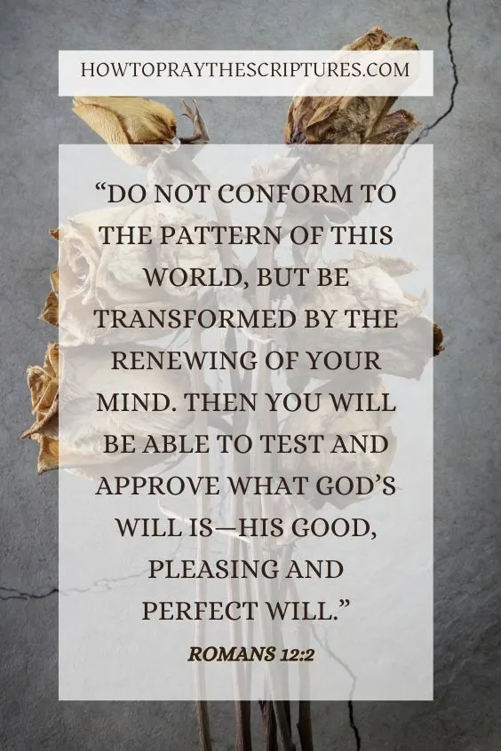 Romans 12:2 Do not conform to the pattern of this world, but be transformed by the renewing of your mind. Then you will be able to test and approve what God&rsquo;s will is&mdash;his good, pleasing and perfect will.)