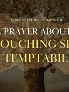 A Prayer About Crouching Sin and Temptability