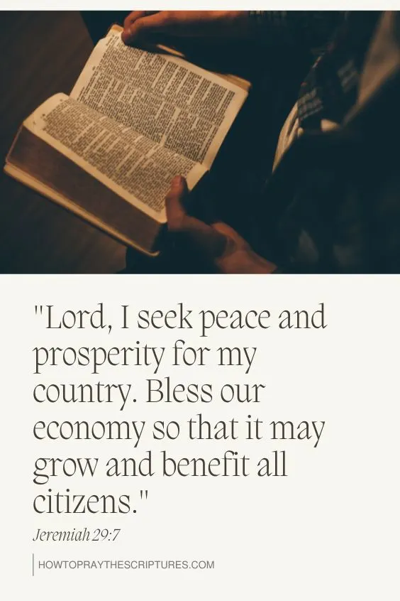 : "Lord, I seek peace and prosperity for my country. Bless our economy so that it may grow and benefit all citizens."