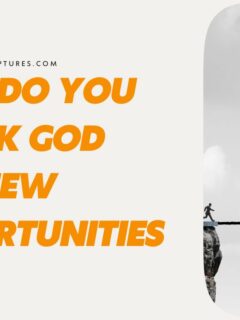How Do You Thank God for New Opportunities?